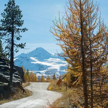 Loftsuite * サース・アルマゲル